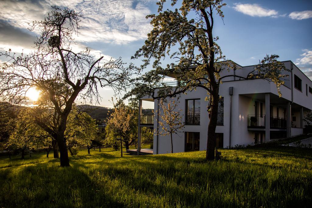Hewen Apartments Engen Exteriér fotografie